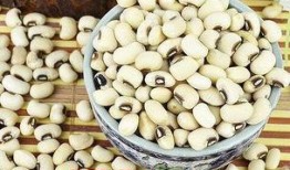 天麻豆的功效,滋补养生，益智安神的天然瑰宝